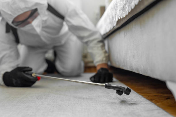Professional Termite Control technician working in Rincon Valley, AZ